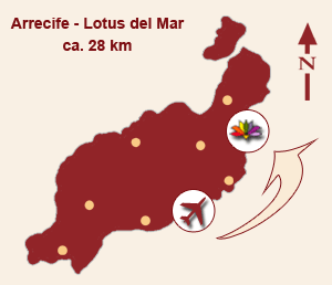 Lanzarote Lotus del Mar Lagepaln